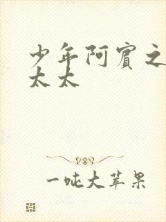 少年阿宾之房东太太