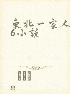 东北一家人1一6小说