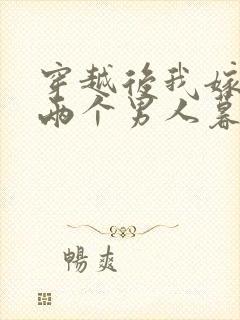 穿越后我嫁给了两个男人暮色酒歌