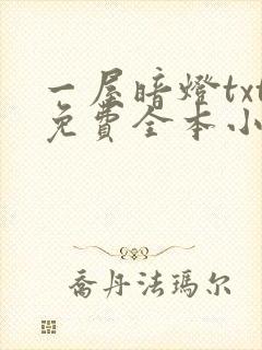 一屋暗灯txt免费全本小说电子书