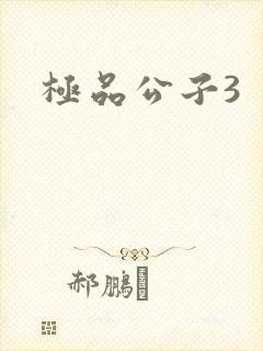 极品公子3