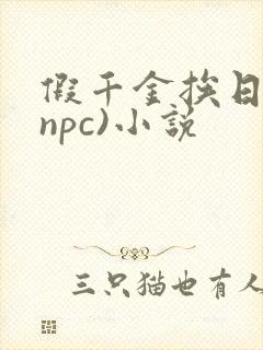 假千金挨日记(npc)小说