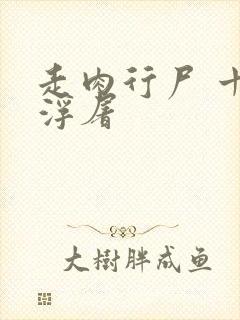 走肉行尸 十阶浮屠