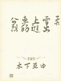 公车上雪柔被猛烈的进出