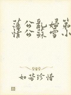 荡公乱妇第1章情公苏雪小说