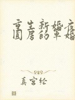 重生新婚夜正在圆房的军婚