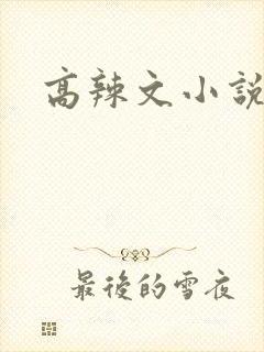 高辣文小说