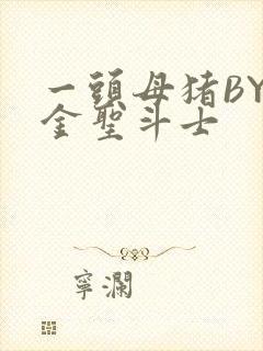 一头母猪BY黄金圣斗士