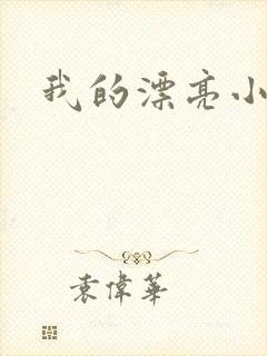 我的漂亮小后妈