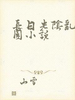 长日光阴乱作一团小说