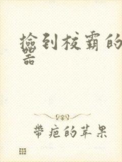 捡到校霸的遥控器