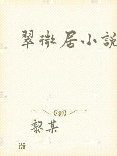 翠微居小说