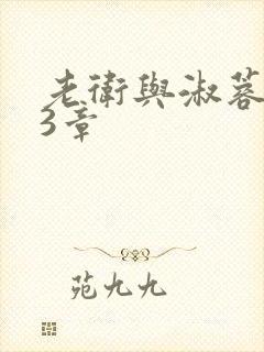 老卫与淑蓉第13章