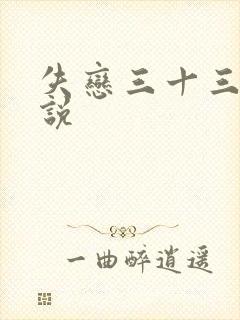 失恋三十三天小说