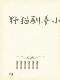 野猫驯养小说