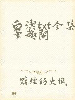 白洁txt全集笔趣阁