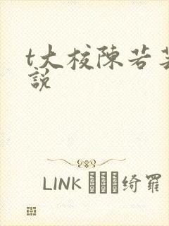 t大校陈若芸小说