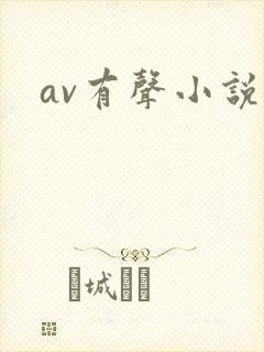 av有声小说
