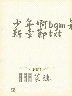 少年啊bgm最新章节txt