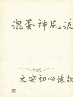 混蛋神风流