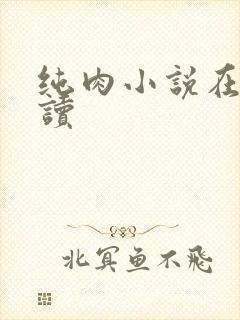 纯肉小说在线阅读