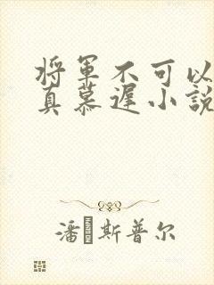 将军不可以魏云真慕迟小说笔趣阁