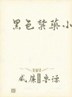 黑色禁药小说