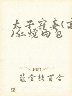 太子宠妾(高肉)红烧肉包