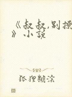 《叔叔,别撩我》小说