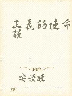 正义的使命 小说