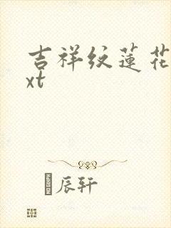 吉祥纹莲花楼txt