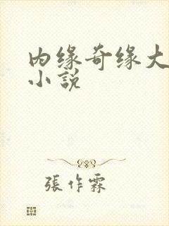 内缘奇缘大团圆小说
