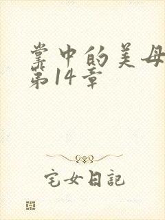 掌中的美母版主第14章