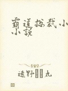 霸道总裁小娇妻小说