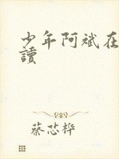 少年阿斌在线阅读