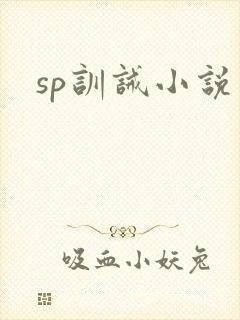 sp训诫小说