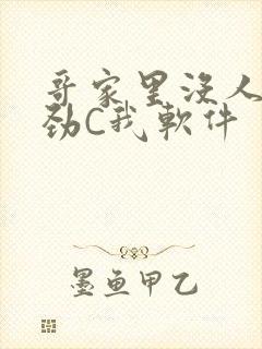 哥家里没人使点劲C我软件