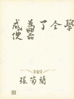 成为了全学校坐便器