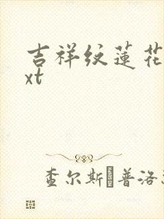 吉祥纹莲花楼txt