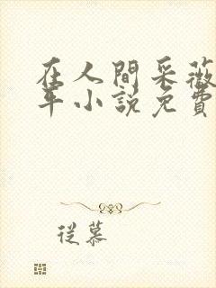 在人间采薇陆三平小说免费阅读