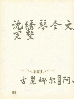 沈绣琴全文阅读完整