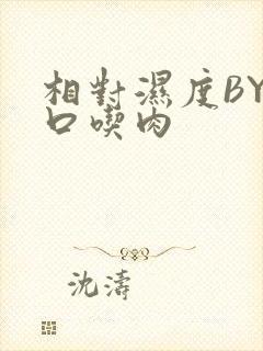 相对湿度BY大口吃肉