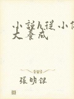 小说h从小做到大养成