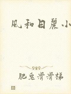 风和日丽小说