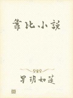 靠比小说