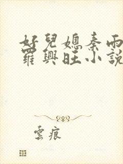 好儿媳秦雨罗明罗兴旺小说