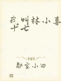 我叫林小喜今年十七