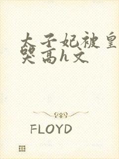 太子妃被皇上c哭高h文