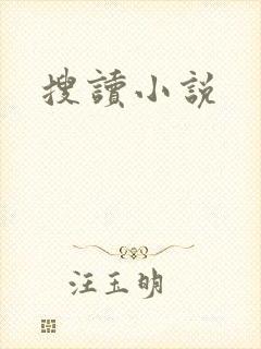 搜读小说