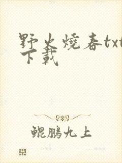 野火烧春txt下载